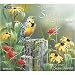 Songbirds 2009 Wall Calendar