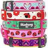 Blueberry Pet 3/4-Inch Basic Polyester Nylon Collar Lead Harness for Dog, Medium, Pink Flamingo on Light Emerald