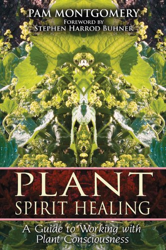 Plant Spirit Healing: A Guide to Working with Plant Consciousness Plant Spirit Healing: A Guide to Working with Plant Consciousness