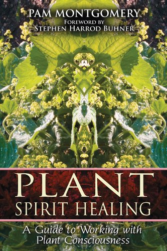 Plant Spirit Healing: A Guide to Working with Plant Consciousness