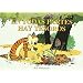 En todas partes hay tesoros (Calvin Y Hobbes)