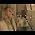 Video of Lissie