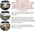Search : The Insider's Generate Extra Cash, Biz Networking and Sales Models for Mobile Baby Chairs On-line Businesses 3 CD Pack