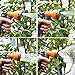 Ohuhu 50 Feet Expandable Garden Hose with Brass Connector and Spray Nozzle
