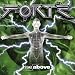 Forte-IV Rise Above