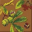 Ideal Home Range Castanea, Terracotta Lunch Napkin,  20-Count Package (Pack of 6)