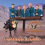 Arreando la Mula