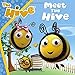 Meet the Hive