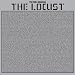 Peel Sessions [Vinyl]