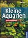 Kleine Aquarien: Extra: Nano-Aquarien