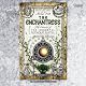 The Enchantress: The Secrets of the Immortal Nicholas Flamel, Book 6