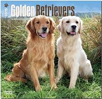 Golden Retrievers 2015 Square 12x12 (Multilingual Edition) Golden Retrievers 2015 Square 12x12 (Multilingual Edition)