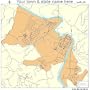 Street & Road Map of San Lorenzo, Puerto Rico PR - Printed poster size wall atlas of your home town