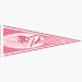 3 New England Patriots Pink NFL Wholesale Team Pennants