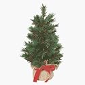Do it Best Imports BSE-T-54 Artificial Mini Pine Tree