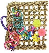 Super Bird Creations Mini Activity Wall Toy for Birds
