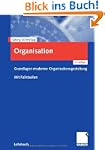 Organisation: Grundlagen moderner Org...
