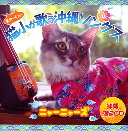 猫小が歌う沖縄ソングス