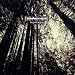 Anklicken zum Vergrößeren: Iszoloscope - Beyond Within (Audio CD)