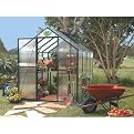 STC Easy Grow Greenhouse - 6x8
