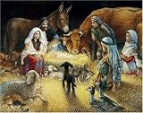 Jigsaw Puzzles