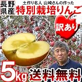 ���i�̏ڍ�