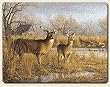 Small Cutting Board ~ Deer - Our Side of the river ~ made of tempered glass ~ code 289