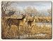Small Cutting Board ~ Deer - Our Side of the river ~ made of tempered glass ~ code 289