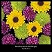 Flowers: A Universe Revealed 2015 Wall Calendar