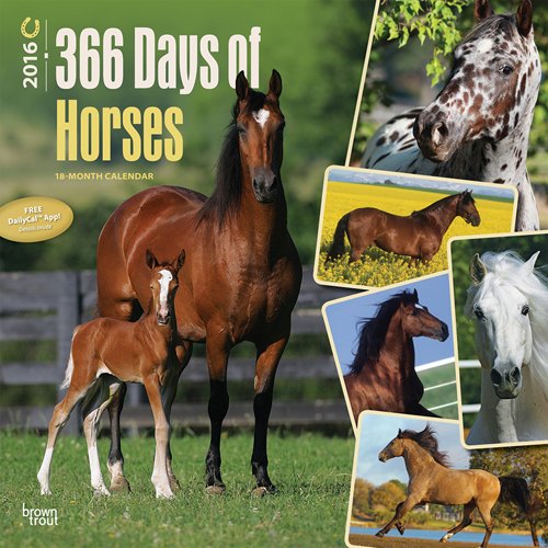 Horses, 366 Days of, 2016 Square 12x12