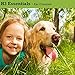 H3 Essentials Dog Ear Cleaner For Dogs and Cats with Aloe - Prevents Infection, Cleans and Dries Pets Ears - 8 oz