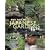 The Art of Japanese Gardens: Designing and Making Our Own Peaceful Space