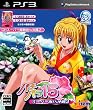 パチパラ 15 ~スーパー海IN沖縄 2~