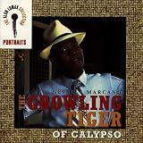 Portraits: Growling Tiger of Calypso