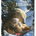 Eisb�ren