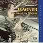An Introduction to Wagner: The Ring of the Nibelun&hellip ~ Richard Wagner