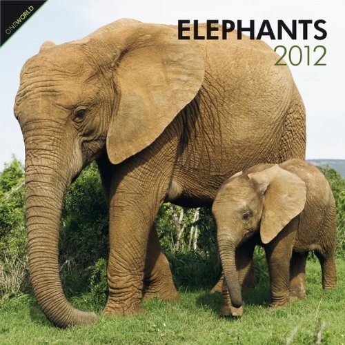 Elephants 2012 Square 12X12 Wall Calendar (Multilingual Edition)