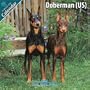 Doberman (US) 2010 Wall Calendar #10034-10