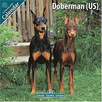Doberman (US) 2010 Wall Calendar #10034-10