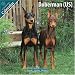 Doberman (US) 2010 Wall Calendar #10034-10