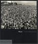 Weegee (Phaidon 55)