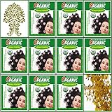 (Qty. 10) 100g Certified Organic Henna Powder for Hair Color Conditioning. Golden Brown Color.