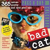 Bad Cat Page-A-Day Calendar 2008