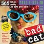 Bad Cat Page-A-Day Calendar 2008
