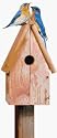 Perky Pet 50302 Bluebird Home Cedar Birdhouse