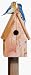Perky Pet 50302 Bluebird Home Cedar Birdhouse