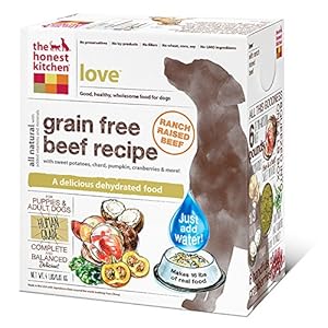 The Honest Kitchen Love: Grain Free Beef Dog Food, 4 lb