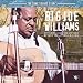 Big Joe Williams-Sonet Blues Story