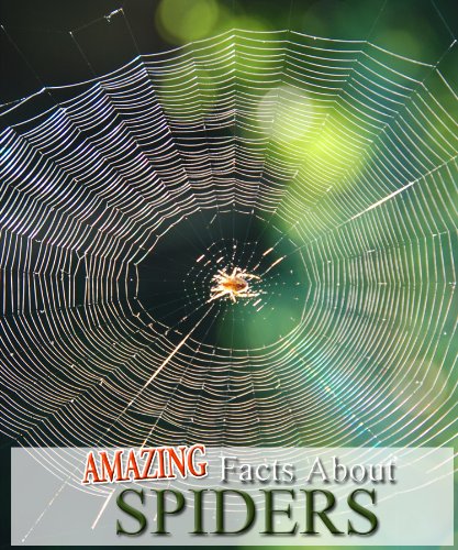 Amazing Facts About Spiders (Kindle Coffee Table Books)