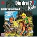 Die drei ??? Kids 14. Gefahr aus dem All (drei Fragezeichen)